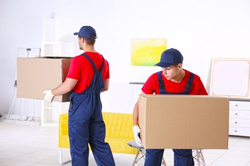 Removal team handling flat moving boxes in Eltham