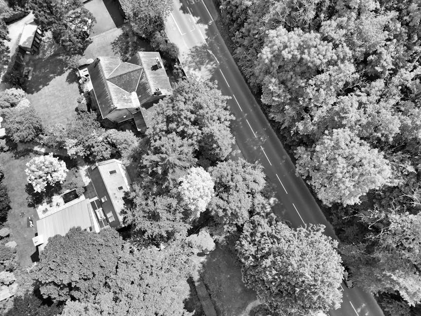 An aerial black-and-white photograph showing a residential property with a pitched roof and small extension, surrounded by numerous tall trees and garden space. The house is situated near a paved road with clearly marked lanes and a parking area visible in the background. The trees and greenery surround the house, providing a natural setting. The image captures the exterior environment during daylight, with shadows of trees cast on parts of the house and grounds. This scene is relevant for home relocations and furniture transport services offered by Man and Van Eltham, illustrating the typical access and environmental context involved in house removals and packing and moving processes on Well Hall Road, Eltham.